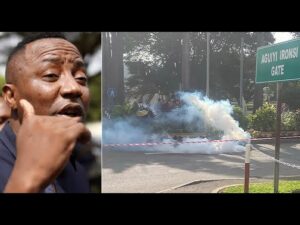 WATCH #freemazinnamdikanunow: Protesters in Abuja defied police restrictions Order