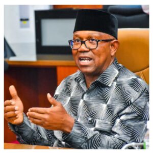 Peter Obi’s 2027 warning: "36 governors cannot stop a determined populace"